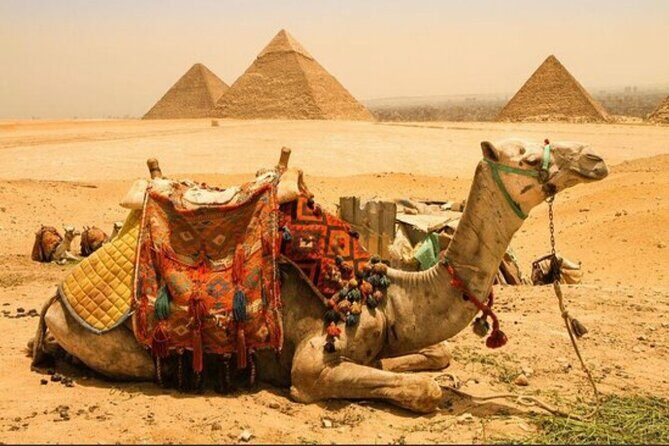 All INC- Pyramids,Camel Ride(1 hour) four wheeler (ATV)& Lunch - Lunch with a View