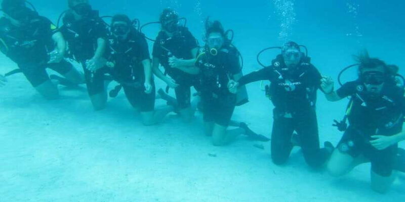 all-include-fun-dive-at-menjangan-island