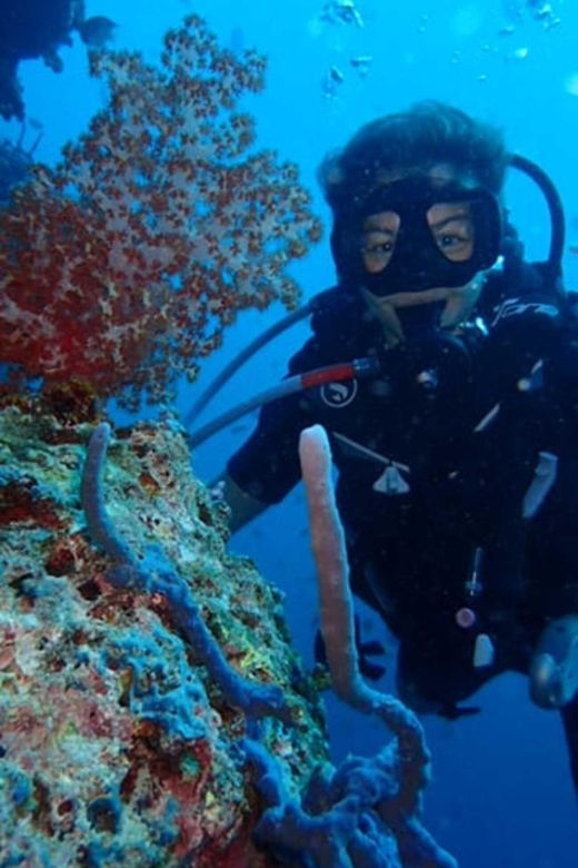 all-include-fun-dive-at-menjangan-island