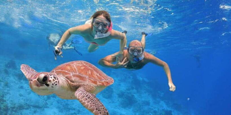 all-include-snorkeling-at-menjangan-island