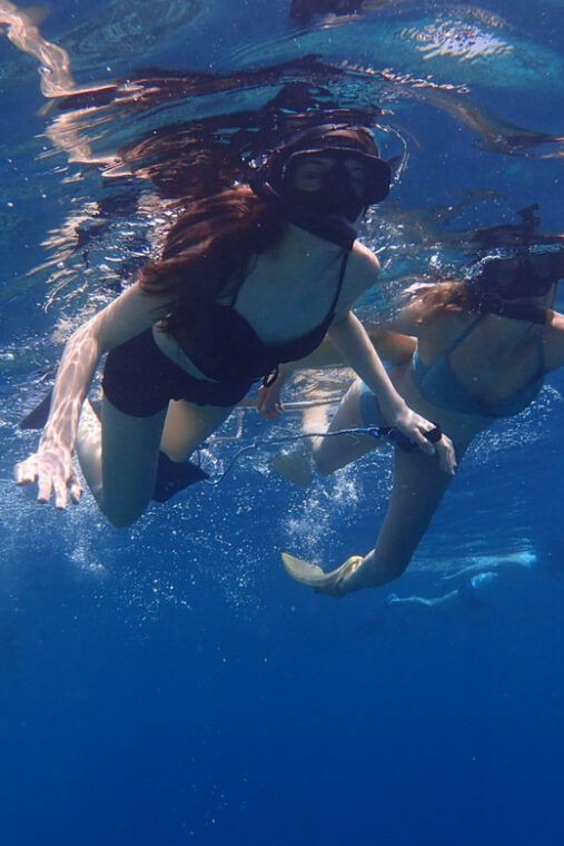 all-include-snorkeling-at-menjangan-island