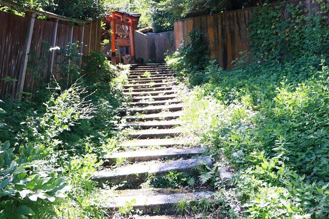 ALL INCLUDED:Short Exclusive Hidden Kyoto Private Tour with Local - Final Wrap-Up