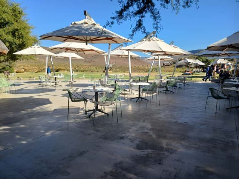 All inclusive 1 night Big Five Safari tour in from Cape Town - What’s included and what’s not