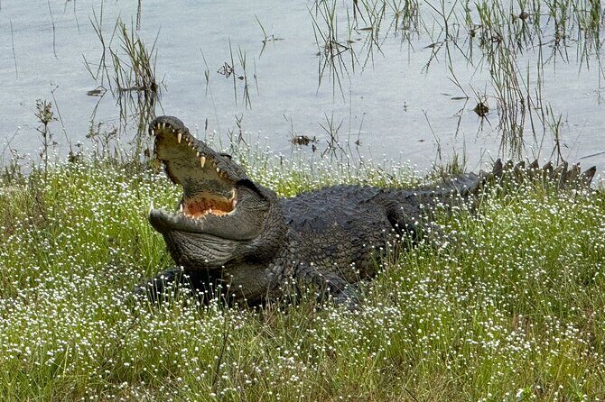 All inclusive 12 Hour Wilpattu National Park Safari - FAQ