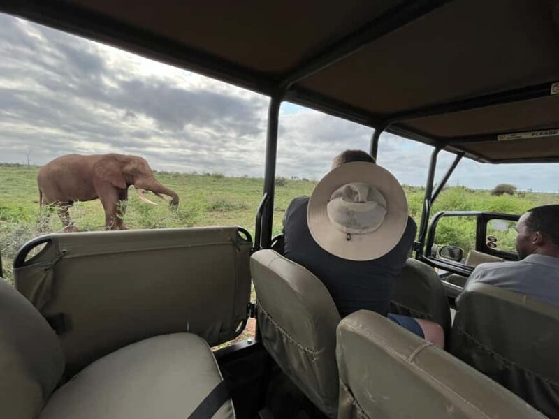 All inclusive 2 Day Kruger Safari from Johannesburg - Key Points