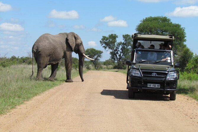 All Inclusive 2 Day Kruger Safari from Johannesburg - Cost-Effectiveness & Value