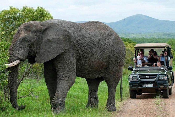 All Inclusive 3 Day Kruger Safari Adventure From Johannesburg - FAQ