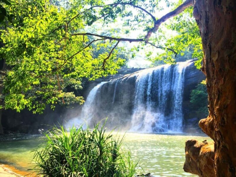 All-Inclusive Adventure- Knuckles Mountain Overnight Trek - A Deep Dive into the Knuckles Trek Experience