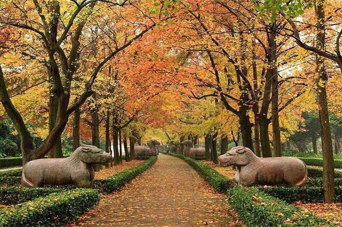 All Inclusive Amazing Nanjing City Highlights Private Day Tour - The Details That Make This Tour Stand Out