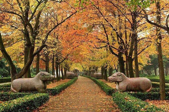 All Inclusive Amazing Nanjing City Highlights Private Day Tour - Frequently Asked Questions