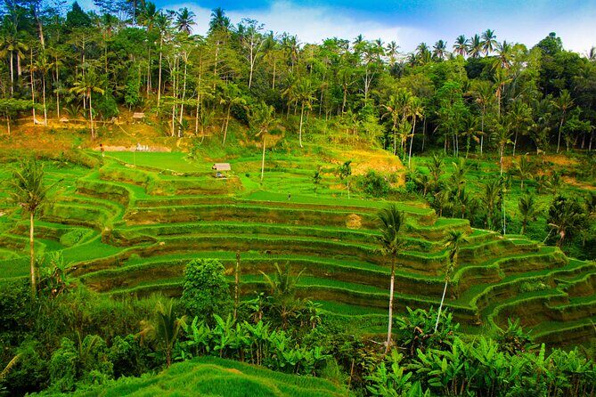 All Inclusive Bali ATV with Rice Terraces, Swing and Waterfall - FAQs