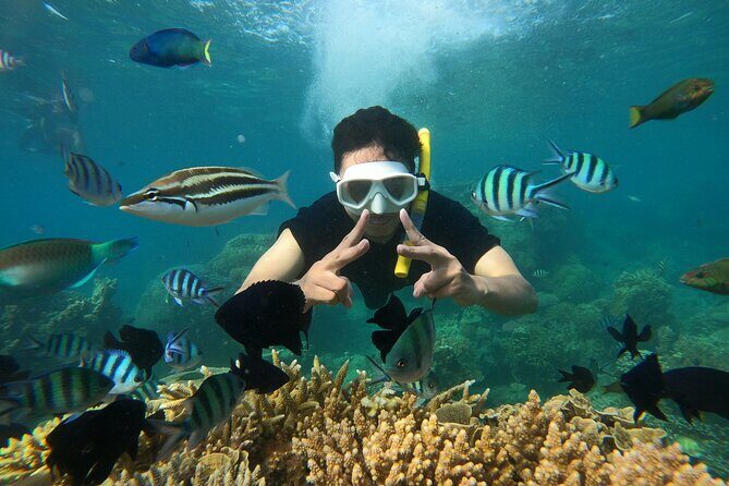 All Inclusive Bali Blue Lagoon and Tanjung Jepun Snorkeling - FAQ