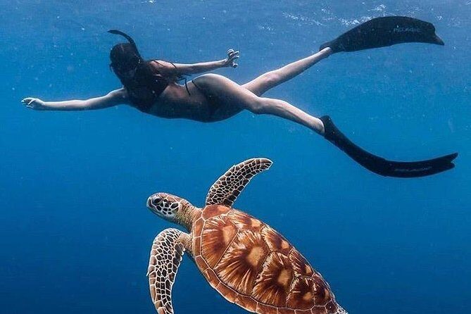 All Inclusive : Bali Blue Lagoon Snorkeling with Lunch &Transfers - What to Expect from the Tour