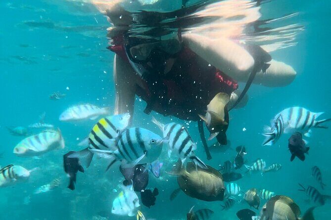 All Inclusive : Bali Blue Lagoon Snorkeling with Lunch &Transfers - The Guides and Service