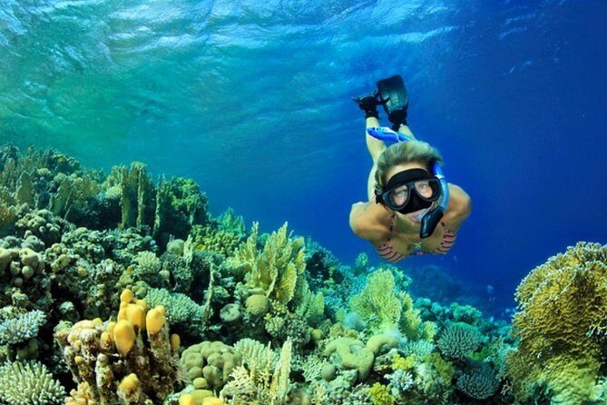 All INCLUSIVE Bali snorkeling at blue lagoon and tanjung jepun - Discovering the Itinerary: What Youll Experience