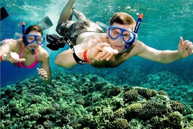 All INCLUSIVE Bali snorkeling at blue lagoon and tanjung jepun - Summary: Is It Worth It?