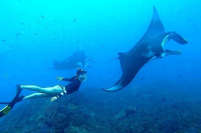 All-Inclusive Bali to Nusa Penida Tour and Manta Snorkeling - Who Should Consider This Tour?