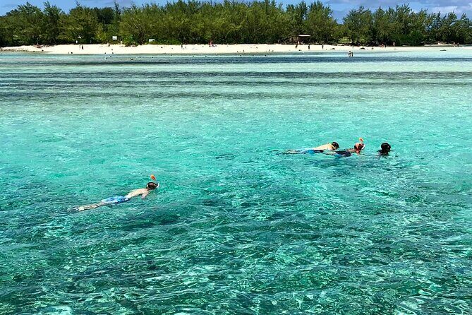 All inclusive CATAMARAN with BBQ : Ile aux cerf & GRSE waterfall - Is This Tour for You?