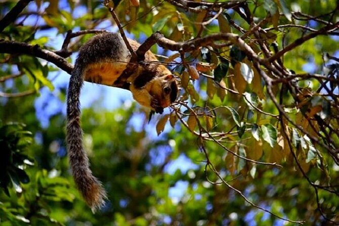 All-inclusive Central Sri Lanka Three Days Tour - Starting with Sigiriya: The Iconic Fortress