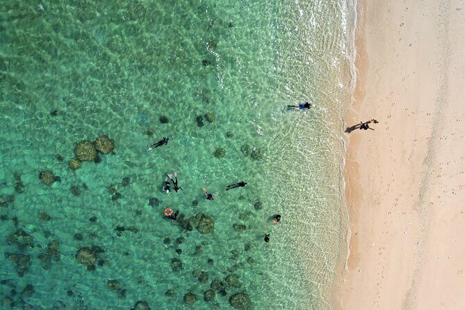 All Inclusive Day Tour to Frankland Islands Great Barrier Reef - Authentic Traveler Insights