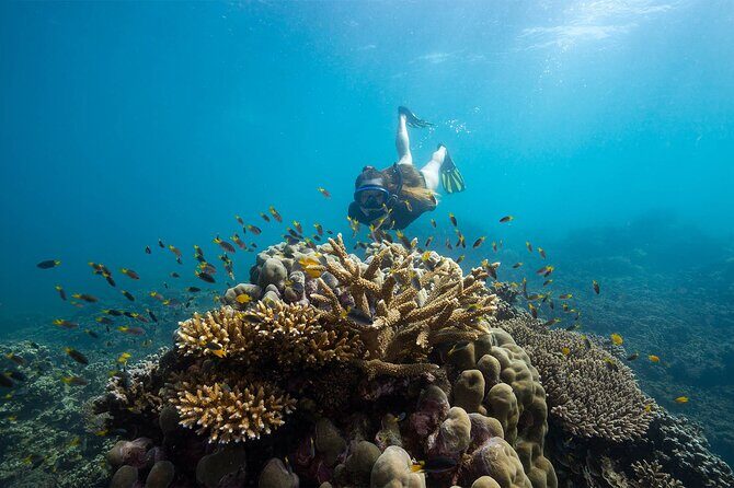 All Inclusive Day Tour to Frankland Islands Great Barrier Reef - FAQs