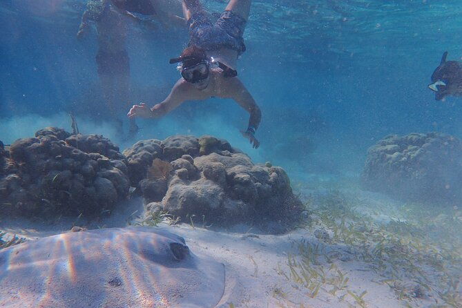 all-inclusive-full-day-hol-chan-snorkeling-tour