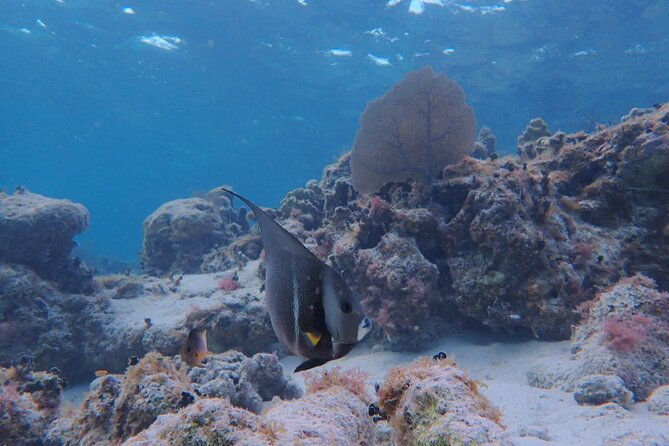 all-inclusive-full-day-hol-chan-snorkeling-tour