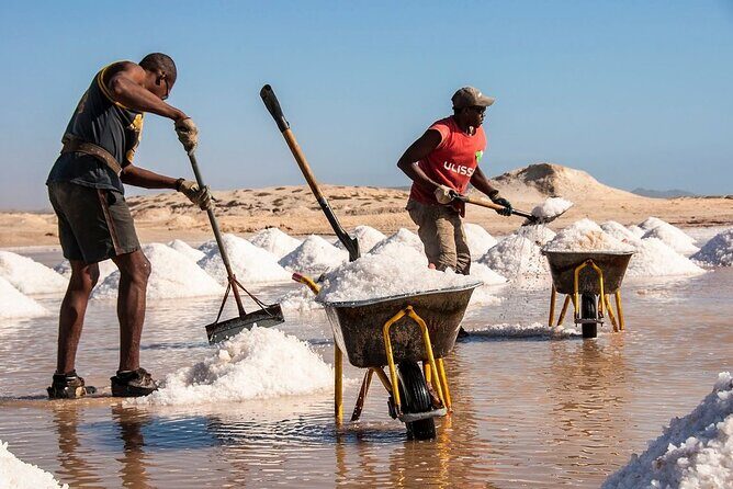 All inclusive full-Day Tour in Sal Island (Lunch and all fees included) - Key Points
