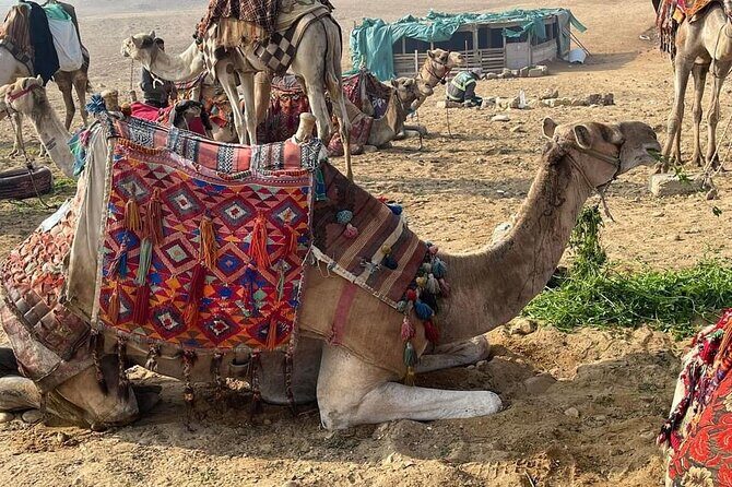 all inclusive Giza pyramids & the grand Egyptian museum - The Sum Up