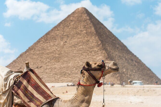 All Inclusive Giza Pyramids&Sphinx, Saqqara&Memphis Tour,Guide,Lunch, Camel Ride - Discovering the Pyramids of Giza