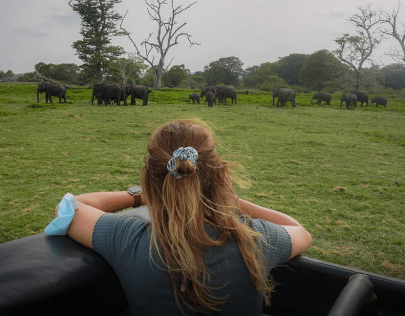 all-inclusive-habarana-hurulueco-park-private-halfday-safari