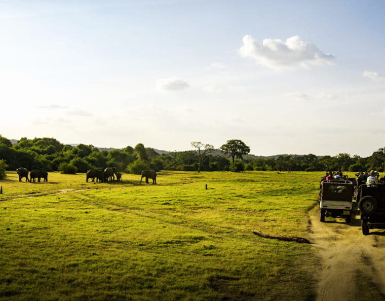 all-inclusive-habarana-hurulueco-park-private-halfday-safari