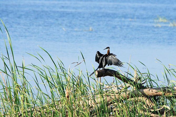 All Inclusive Half Day Private Safari at Bundala National Park - The Sum Up