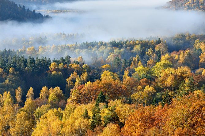 all-inclusive-honest-history-tour-araisi-cesis-ligatne-sigulda