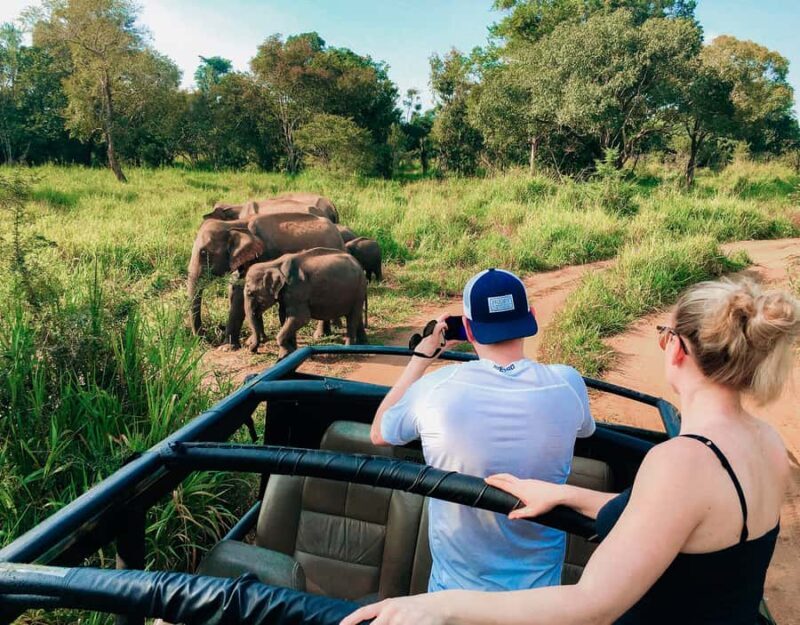 All Inclusive Hurulu Eco Park 3 Hour Elephant Safari Tour - Introduction
