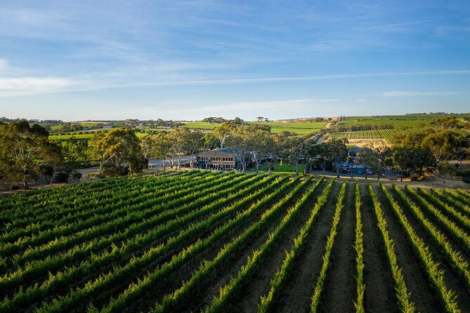 All-Inclusive McLaren Vale Wine & Brew Minibus Tour - FAQ