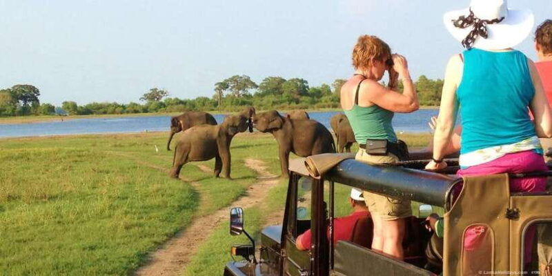 all-inclusive-minneriya-national-park-afternoon-safari