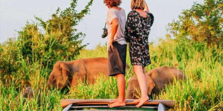 all-inclusive-minneriya-national-park-afternoon-safari
