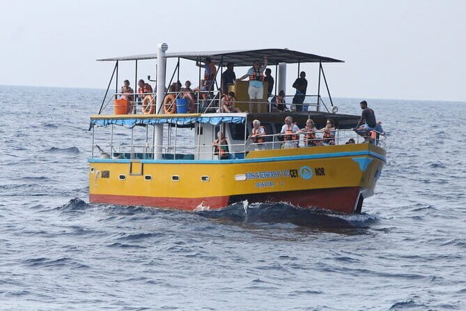 All Inclusive Mirissa Whale and Dolphin Watching Boat Ride - Introduction