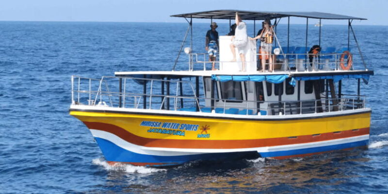 all-inclusive-mirissa-whale-and-dolphin-watching-boat-ride