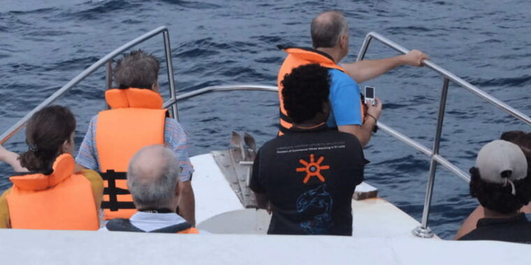 all-inclusive-mirissa-whale-and-dolphin-watching-boat-ride