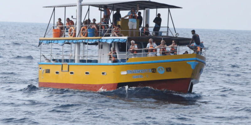 all-inclusive-mirissa-whale-dolphin-watching-snorkeling