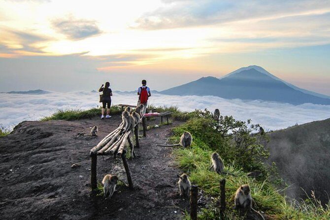 All Inclusive: Mount Batur Sunrise Volcano Private Tour - Who Should Book This Tour?