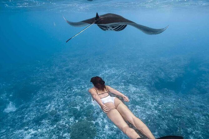 All Inclusive Nusa Penida Snorkeling Tour with Visit West Island - Key Points