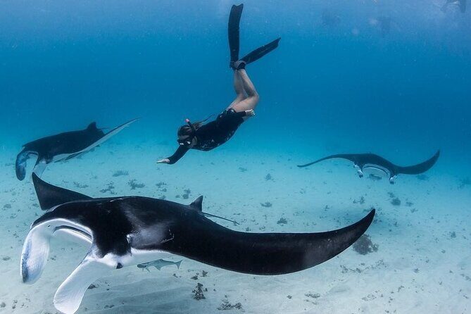 All Inclusive Nusa Penida Snorkeling Tour with Visit West Island - What’s Included and What to Expect