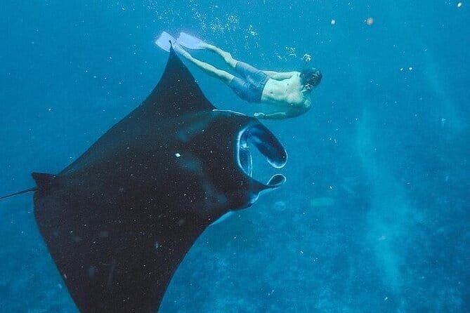 All Inclusive One Day Nusa Penida Instagram Tour East & West - FAQs