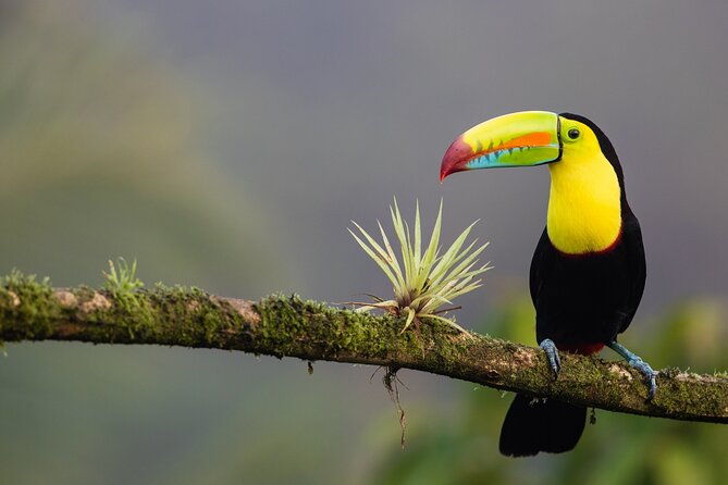 all-inclusive-package-8-days-7-nights-in-costa-rica