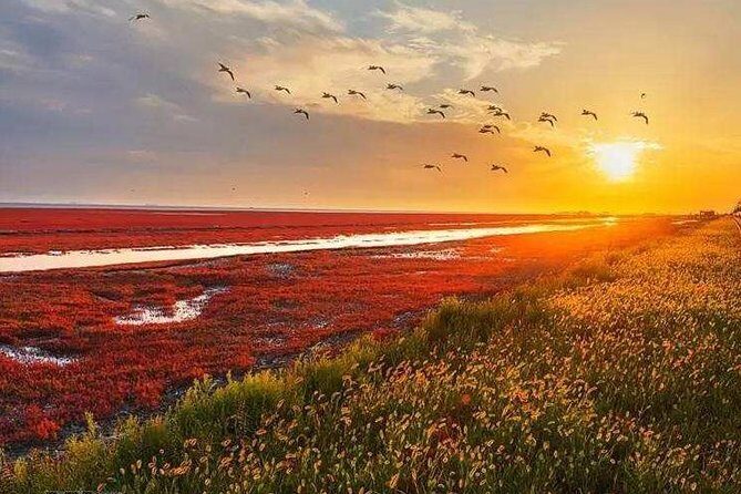 All-Inclusive Private Day Tour to Red Beach in Panjin City - Final Thoughts