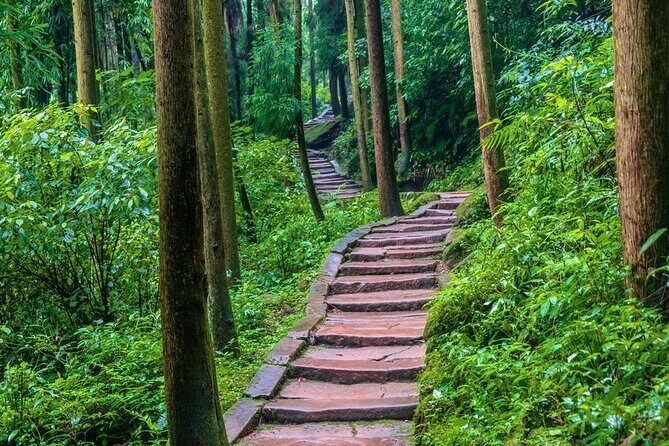 All-Inclusive Private Dujiangyan & Mount Qingcheng Day Tour - FAQ