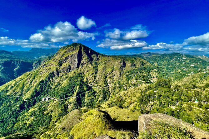 All inclusive private Ella Day Tour with Train Ride & Teafactory - The Sum Up